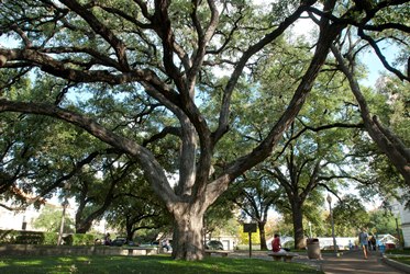 Battle Oaks 2